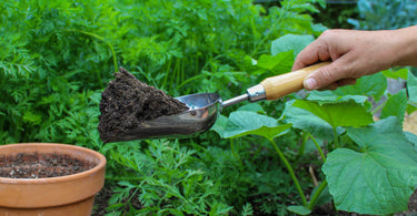 Perfecting Your Backyard Soil Before Planting Your Garden