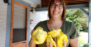 Gardener on farm porch with an armful of yellow Y-star squash