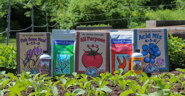 Fertilizers lined up in bright green garden bed