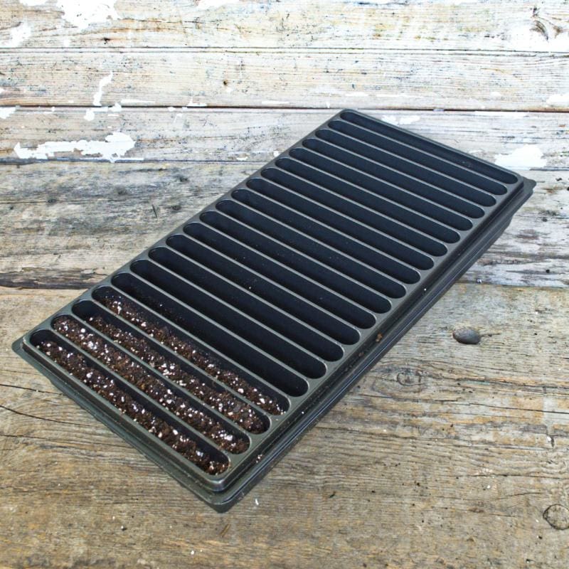 seed planting flats 20 Row Seedling Flat (1 Tray)