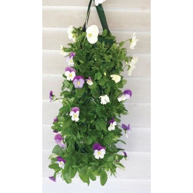 planting seeds in grow bags AL'S FLOWER POUCH GROWING BAG – Pinetree Garden Seeds