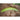 Armenian Cucumber (Heirloom 90 Days) - Vegetables