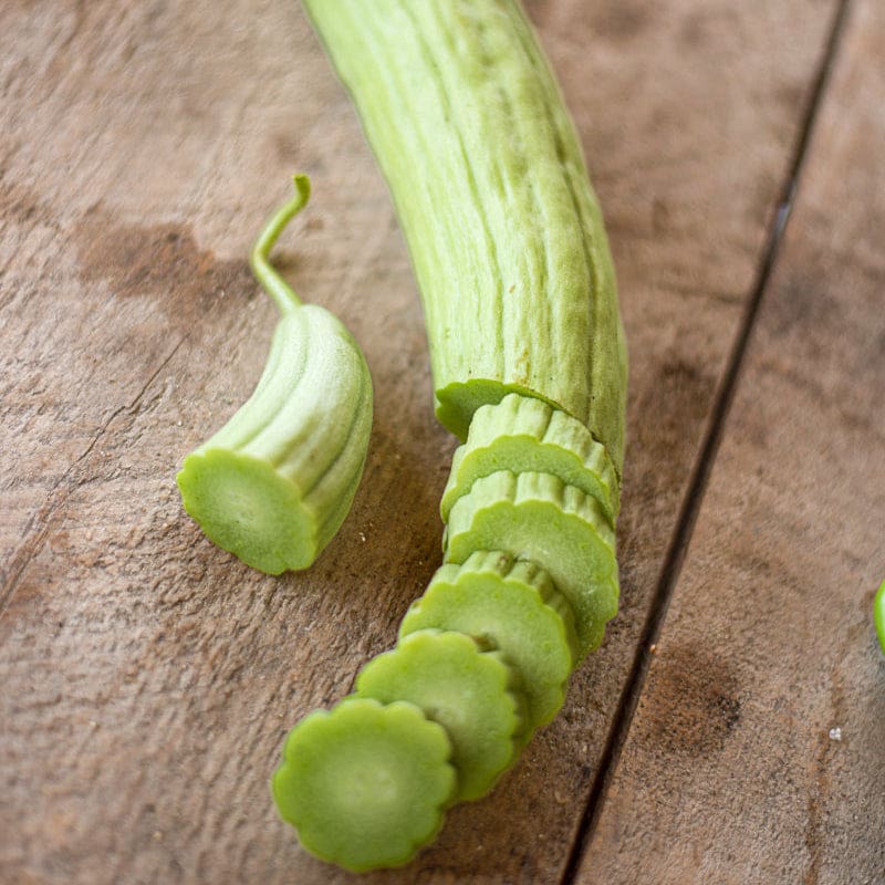 planting armenian cucumber seeds Armenian Cucumber (Heirloom, 90 Days)