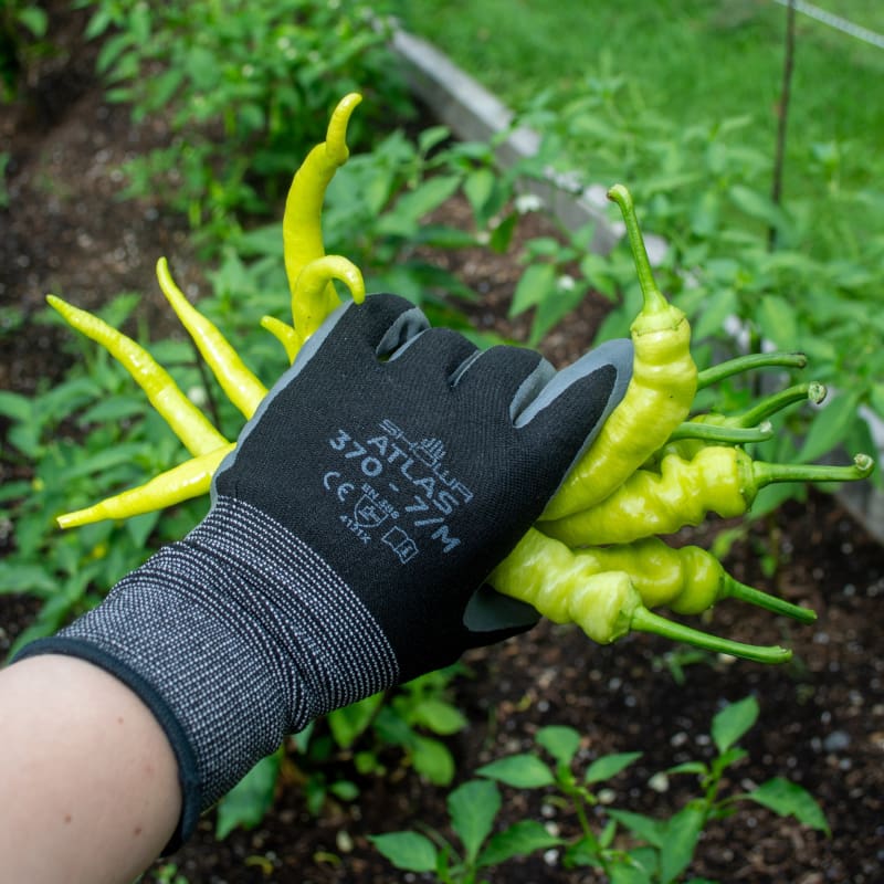 nitrile gardening gloves Atlas Nitrile Grip Gloves SM / Black