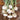 Bianca Di Maggio Cipollini Onion (Heirloom 95 Days) - Vegetables