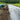 Black Plastic Mulch - Garden Supplies