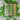 Blue Lake 274 Bush Bean (53 Days) - Vegetables