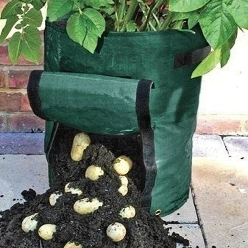 How to Use Potato Grow Bags: Easy Steps for Bountiful Harvests