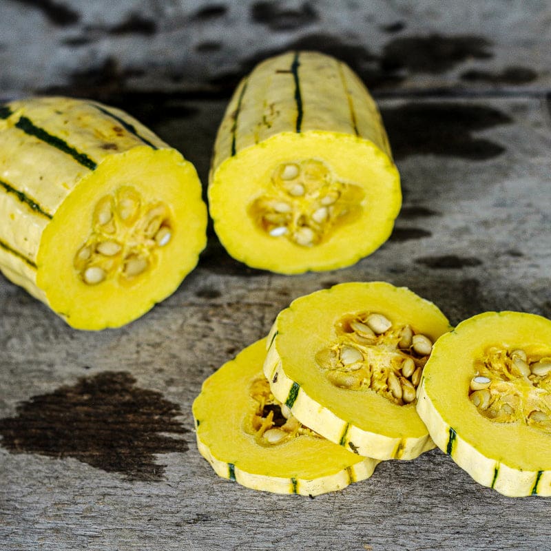 delicata squash seeds for planting Bush Delicata Squash (80 Days)