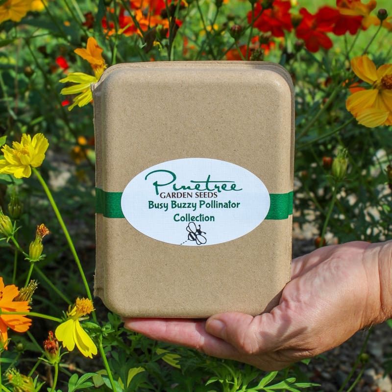 pinetree garden seeds and accessories Busy Buzzy Pollinator Collection