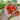 Candy Bell Tomato (F1 Hybrid 65 Days) - Vegetables