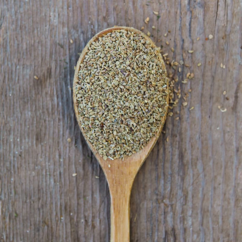 spice garden seeds Celery Seed Whole (Organic) 1 oz. – Pinetree Garden Seeds