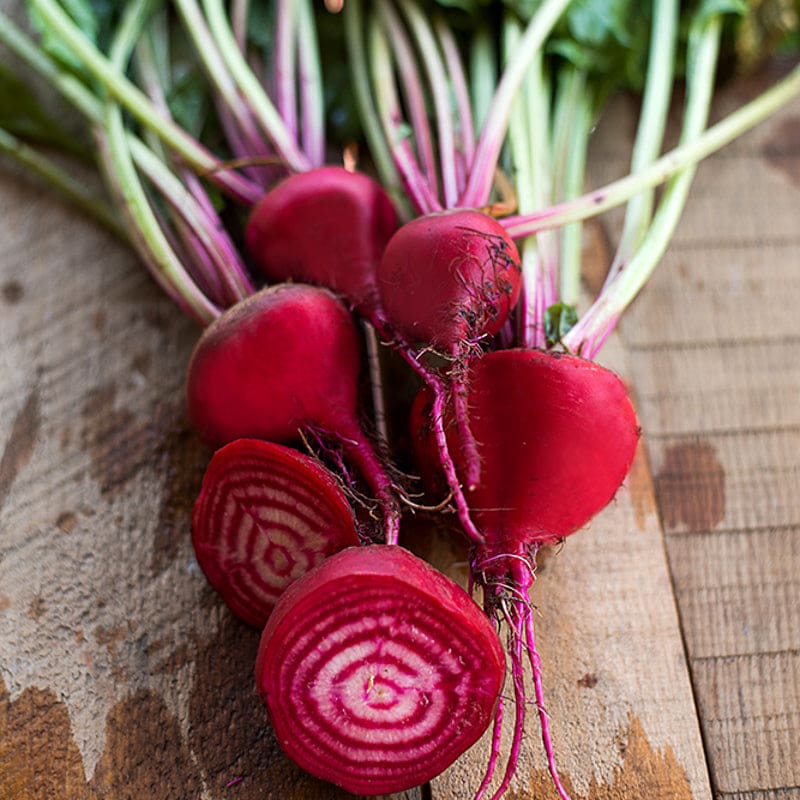 beetroot plant seeds Chioggia Beet (Heirloom, 55 Days)