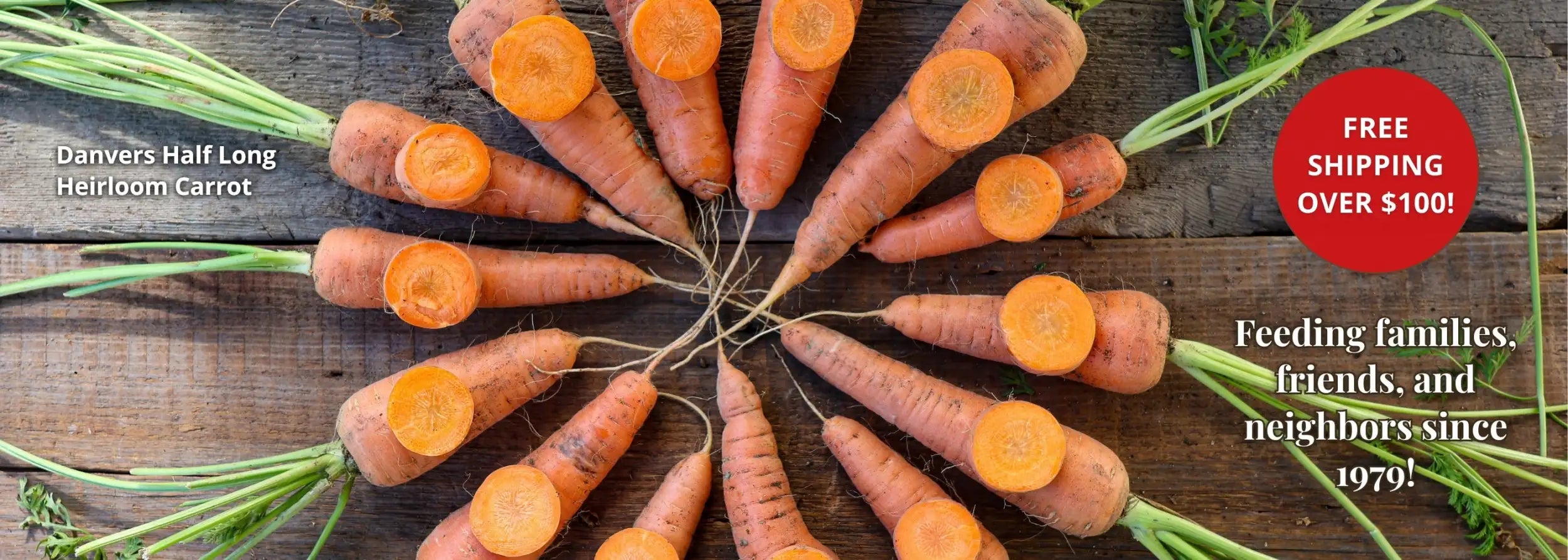 A circular arrangement of orange danvers half long heirloom carrots with green tops and some cut to reveal their bright inner flesh, displayed on a rustic wooden surface.