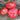 Climbing Triple Crop Tomato (80 Days) - Vegetables
