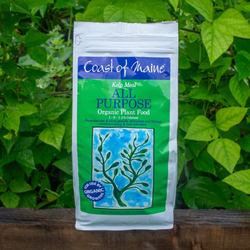 kelp plant fertilizer Coast of Maine 1-0-1 4 lbs Kelp Meal Organic Plant Food