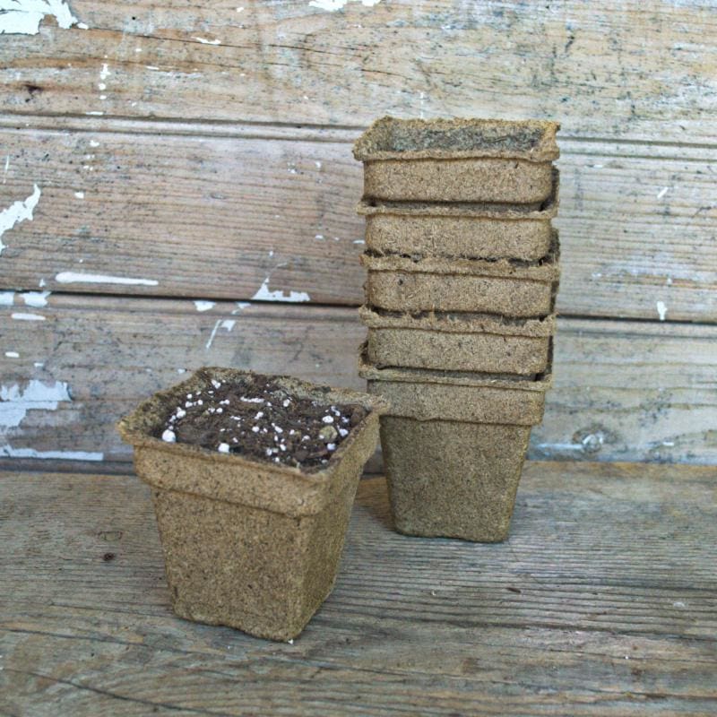 pot plant seeds for sale Cow Pots 3" Square (25 count) – Pinetree Garden Seeds