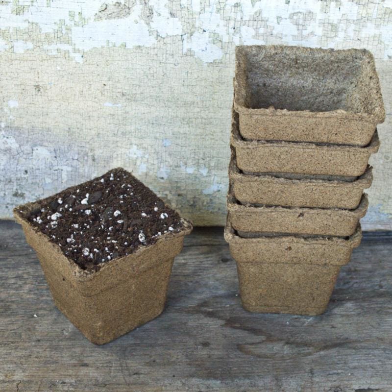 biodegradable planting pots Cow Pots 4" Square (25 count) – Pinetree Garden Seeds