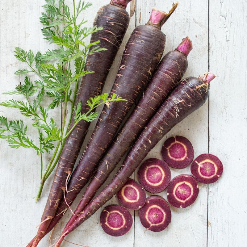 Deep Purple Carrot F1 Hybrid 72 Days Pinetree Garden Seeds deep-purple-carrot-f1-hybrid-72-days-pinetree-garden-seeds