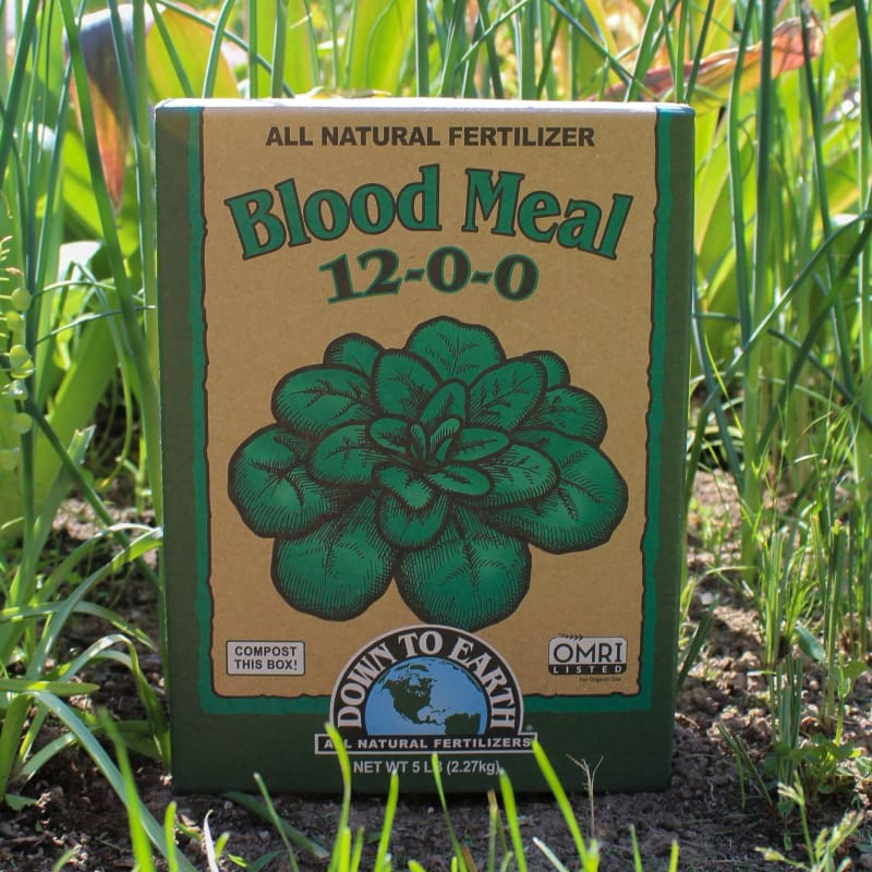 all natural fertilizer for plants Down To Earth Blood Meal 12-0-0 4 lbs