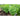 Everleaf Lemon Towers Basil - Herbs