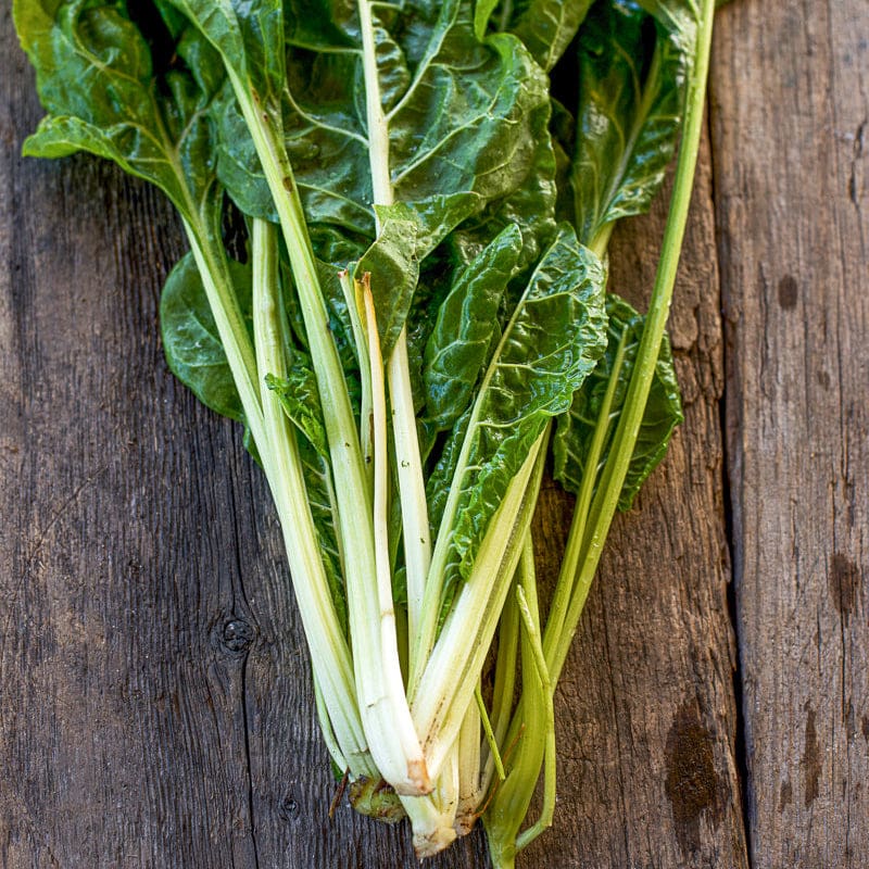 plant chard seeds Fordhook Swiss Chard (58 Days)