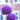 Globemaster Allium - Fall