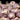 Hardneck Garlic-Deerfield Purple (Fall Planting) - Bulb