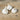 Hardneck Garlic-Persian Star (Fall Planting) - Bulb