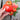 Heinz Classic Processor Tomato (75 Days) - Vegetables