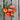 Heinz Classic Processor Tomato (75 Days) - Vegetables