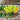 Hungarian Yellow Wax Pepper (65 Days) - Vegetables