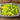 Hungarian Yellow Wax Pepper (65 Days) - Vegetables