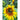 Jolly Joker Sunflower - Flowers