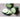 Marketmore 76 Cucumber (60 Days) - Vegetables
