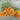 Bright orange mexican mint marigold flowers on white rustic background.