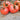 Mortgage Lifter Tomato (Heirloom 77 Days) - Vegetables