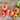 Mortgage Lifter Tomato (Heirloom 77 Days) - Vegetables