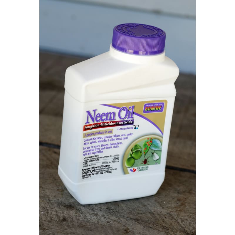 neem seed oil for plants Neem Oil Concentrate (16 oz.)