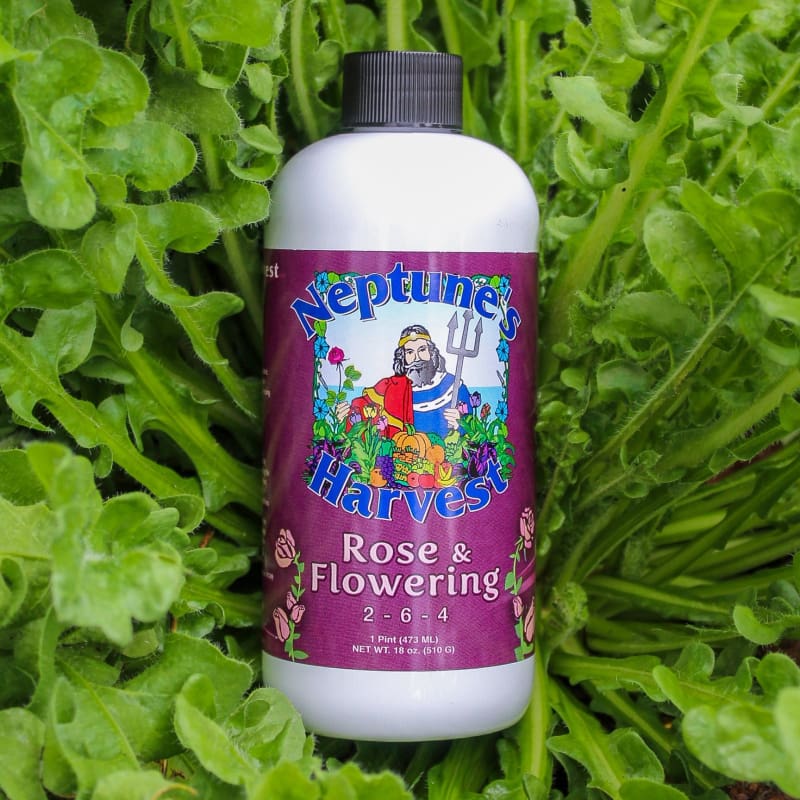 flowering fertilizer for plants Neptune's Harvest