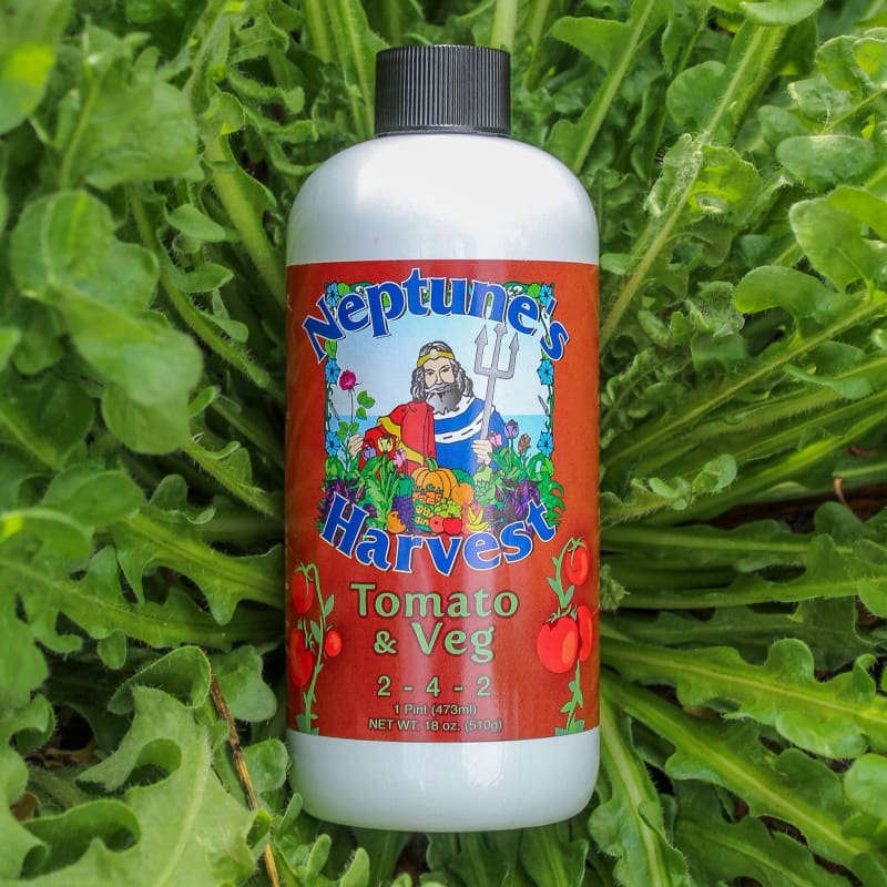 fish fertilizer for vegetable plants Neptune's Harvest