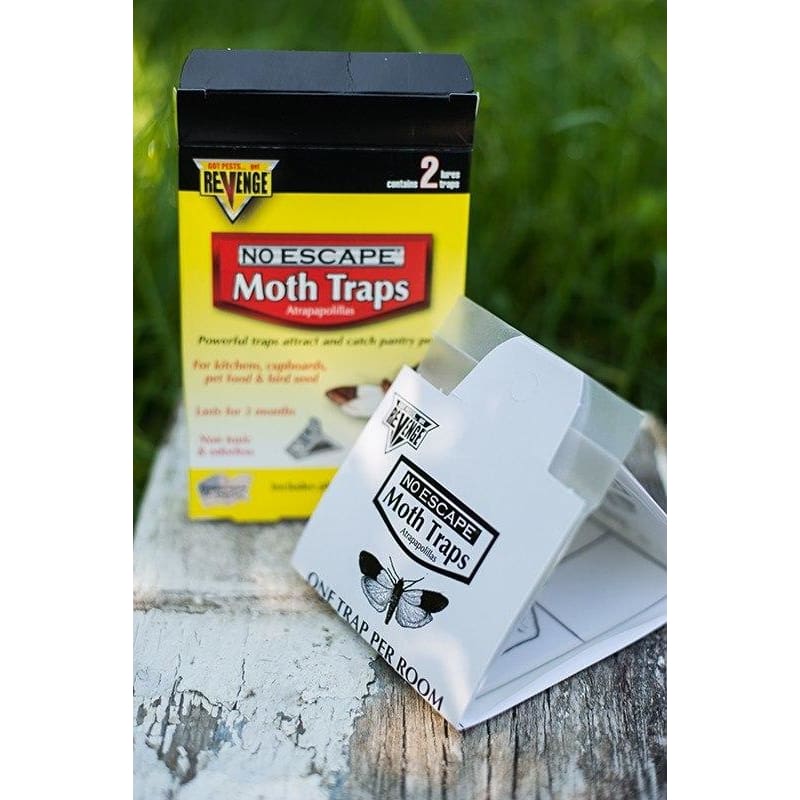 Moth Trap FAQs Archives - Pantry Moth Trap Guide