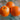 Orange Essential Oil (5 ml) - Garden Supplies
