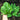 Palco Spinach (Organic F1 Hybrid 38 Days) - Vegetables