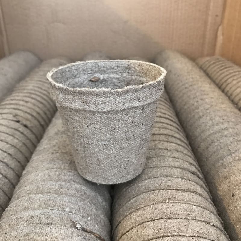 can you plant peat pots PEAT POTS