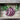 Pingtung Long Eggplant (Heirloom 66 Days) - Vegetables