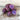 Potato ’Adirondack Blue’ - Vegetables