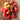 Roma Tomato (78 Days) - Vegetables