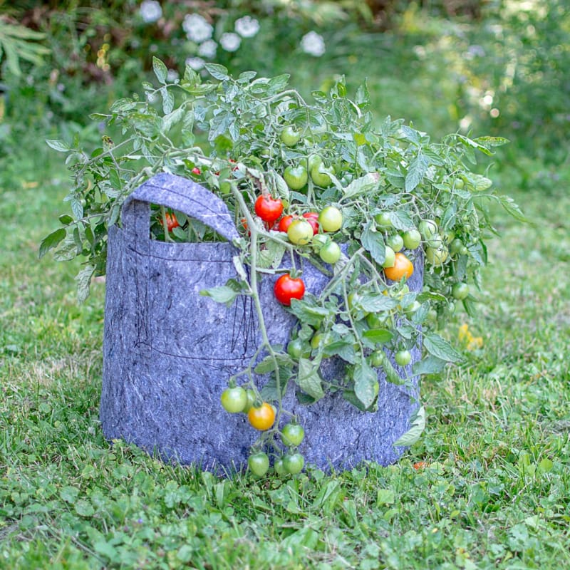degradable pots for plants Root Pouch 15 gallon with Handles – Pinetree Garden Seeds