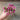 Roselight Statice - Flowers